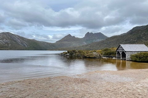 Cradle Mountain National Park Day Tour From Launceston - Hotel Accommodation 4