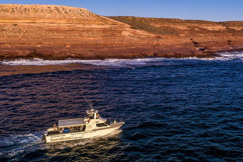 Kalbarri Sunset Coastal Cliff Cruise - Hotel Accommodation 4