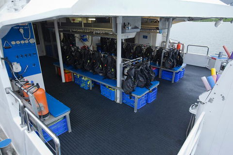 Silverswift Outer Great Barrier Reef Dive And Snorkel Cruise From Cairns - Hotel Accommodation 0