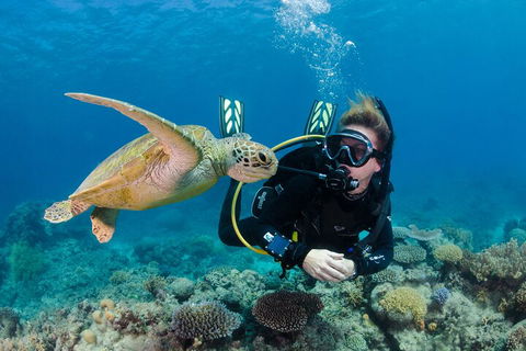 Silverswift Outer Great Barrier Reef Dive And Snorkel Cruise From Cairns - Hotel Accommodation 2