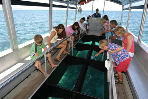 Green Island Discovery Including Glass Bottom Boat Tour Departing Cairns - Hotel Accommodation 5