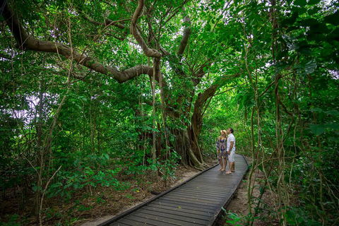 Green Island Day Trip Including Seawalker Helmet Dive COMBO - Hotel Accommodation 1