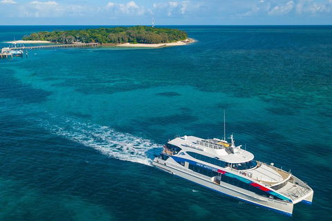 Green Island Day Trip Including Seawalker Helmet Dive COMBO - Hotel Accommodation 2