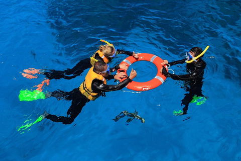 Great Barrier Reef Adventure From Cairns - Hotel Accommodation 3
