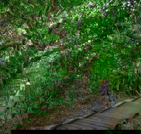 Green Island Eco Adventure from Cairns - Hotel Accommodation