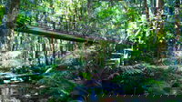 Double Pack-Ancient Rainforest and Waterfalls, Cairns