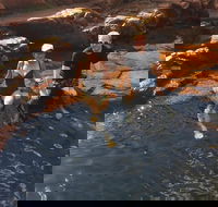 One Day Litchfield Park Adventures - Hotel Accommodation