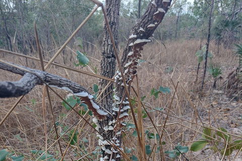 One Day Litchfield Park Adventures - Hotel Accommodation 3