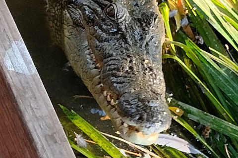 Litchfield Park Adventures And Jumping Crocodile Cruise + Butterfly Farm - Hotel Accommodation 1