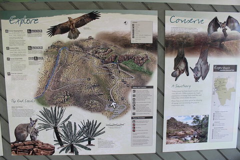 Jumping Crocodile Cruise And Berry Springs Nature Park - Hotel Accommodation 2