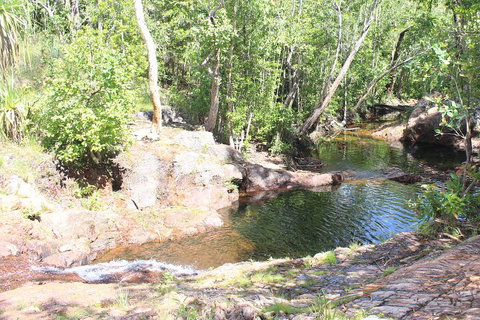 Jumping Crocodile Cruise And Berry Springs Nature Park - Hotel Accommodation 3