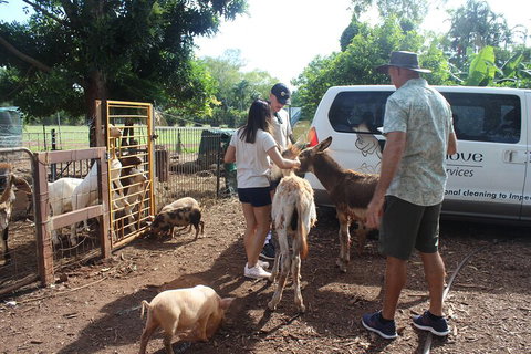 Jumping Crocodile Cruise And Berry Springs Nature Park - Hotel Accommodation 4