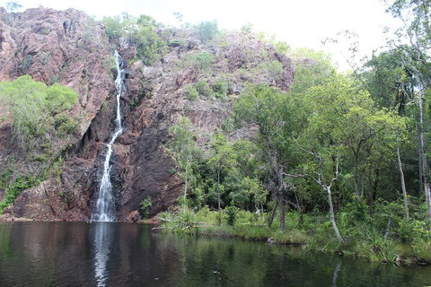 Jumping Crocodile Cruise And Berry Springs Nature Park - Hotel Accommodation 5