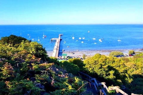 Mornington Peninsula Sightseeing Tour For 2-6 Guests. - Hotel Accommodation 1