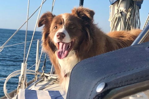 Mornington Peninsula Sightseeing Tour For 2-6 Guests. - Hotel Accommodation 2