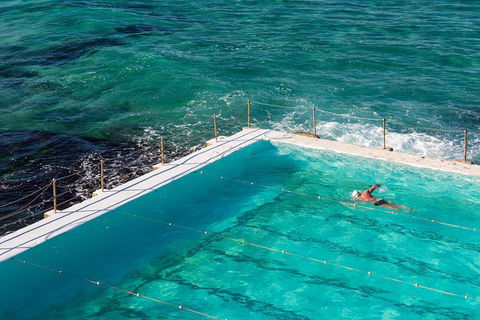 Small Group Essential Sydney Tour Including Lunch - Hotel Accommodation 5