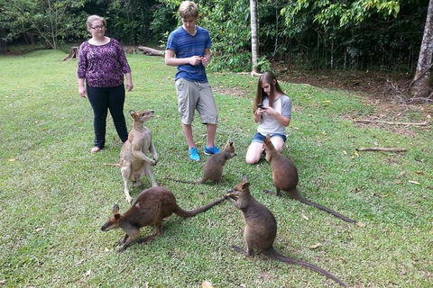 Small Group Blue Mountains Day Tour From Sydney - Hotel Accommodation 2