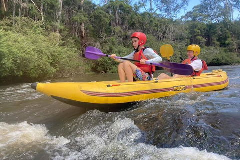 Yarra River Half-Day Rafting Experience - Hotel Accommodation 1