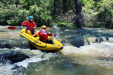 Yarra River Half-Day Rafting Experience - Hotel Accommodation 4