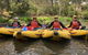 Yarra River Half-Day Rafting Experience - thumb 5