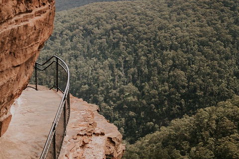 Private Blue Mountains And Wildlife Park Tour From Sydney With Barbecue Lunch - Hotel Accommodation 5