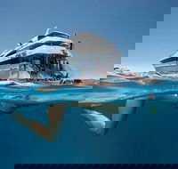 3 Day Great Barrier Reef Daintree Rainforest and Outback Chillagoe Tour - Hotel Accommodation