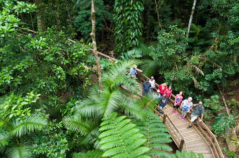 2 Day Daintree Rainforest, Cape Tribulation And Outback Chillagoe Tour - Hotel Accommodation 3