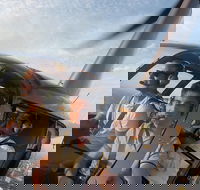 Melbourne and Port Phillip Bay Helicopter Tour - Hotel Accommodation