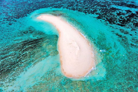 Private Coral Cay Bubbles Tour - Hotel Accommodation 3