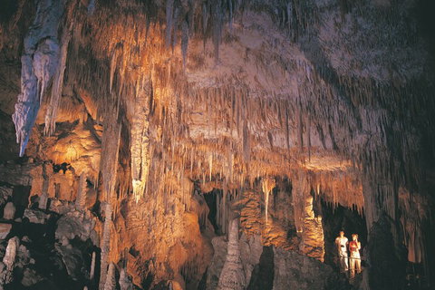 4 Day Tour: Albany, Margaret River, Valley Of The Giants TreeTop Walk From Perth - Hotel Accommodation 1