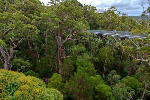 4 Day Tour: Albany, Margaret River, Valley Of The Giants TreeTop Walk From Perth - Hotel Accommodation 4