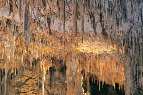 Margaret River, Caves, Wine And Cape Leeuwin Lighthouse Tour From Perth - Hotel Accommodation 3