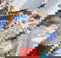 Pinnacles Desert Koalas and Sandboarding 4WD Day Tour from Perth - Hotel Accommodation