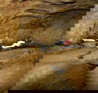 2-Day Wave Rock York Wildflowers  Aboriginal Experience - Hotel Accommodation