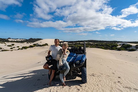 Small-Group Buggy Tour At Little Sahara With Guide - Hotel Accommodation 2