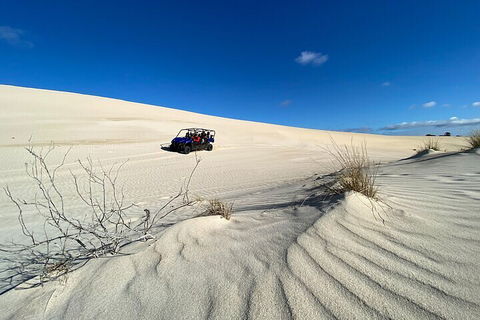 Small-Group Buggy Tour At Little Sahara With Guide - Hotel Accommodation 3