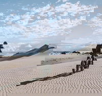 2-Hour Electric Fat Bike Tour in Kangaroo Island - Hotel Accommodation