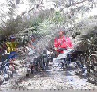 2 Hour Bike Tour in Kangaroo Island - Hotel Accommodation