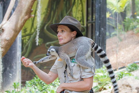 Currumbin Wildlife Sanctuary General Entry Ticket - Hotel Accommodation 1