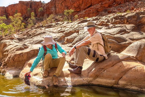 Private 9 Hour Walk And Waterhole Tour In West MacDonnell Ranges - Hotel Accommodation 1