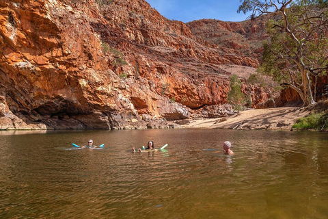 Private 9 Hour Walk And Waterhole Tour In West MacDonnell Ranges - Hotel Accommodation 2