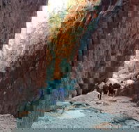 West MacDonnell Private Tour with Transfer - Hotel Accommodation