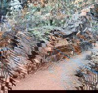 West MacDonnell Ranges Half - Day Tour - Hotel Accommodation