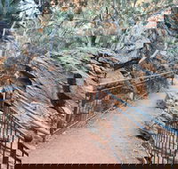 West MacDonnell Ranges Half-Day Private Charter Guided Tour - Hotel Accommodation