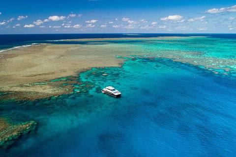 Calypso Outer Great Barrier Reef Cruise From Port Douglas - Hotel Accommodation 1