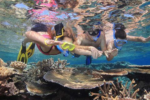 Calypso Outer Great Barrier Reef Cruise From Port Douglas - Hotel Accommodation 3