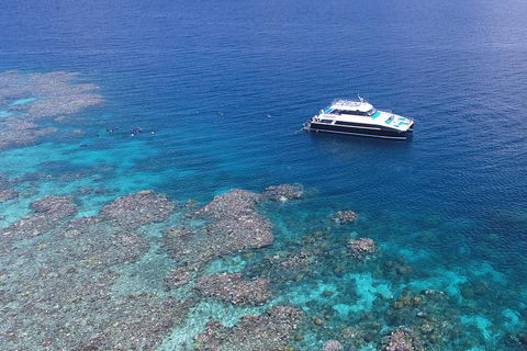 Calypso Outer Great Barrier Reef Cruise From Port Douglas - Hotel Accommodation 4