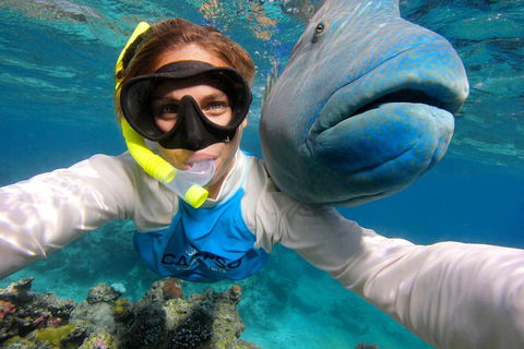 Calypso Outer Great Barrier Reef Cruise From Port Douglas - Hotel Accommodation 5