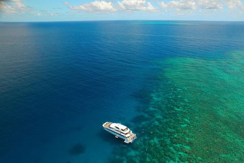 Great Barrier Reef Snorkeling And Diving Cruise From Cairns - Hotel Accommodation 4