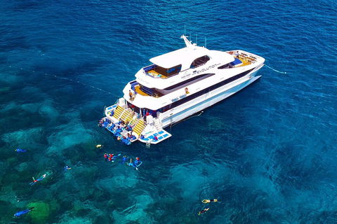 Great Barrier Reef Snorkeling And Diving Cruise From Cairns - Hotel Accommodation 5